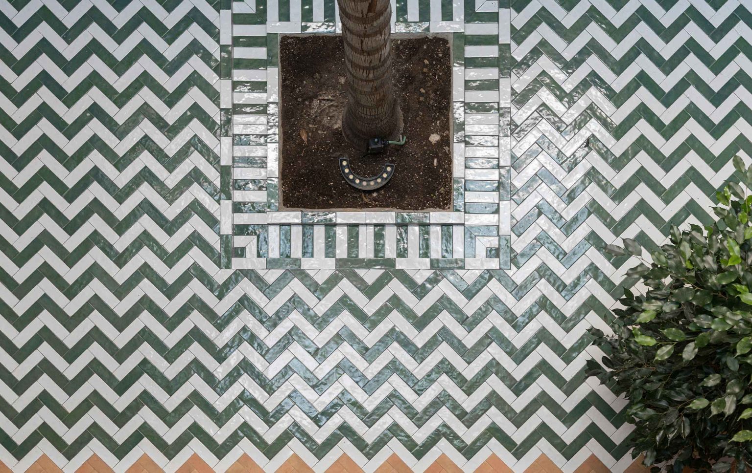 Suelo de azulejos verdes y blancos en espiga alrededor del alcorque de una palmera