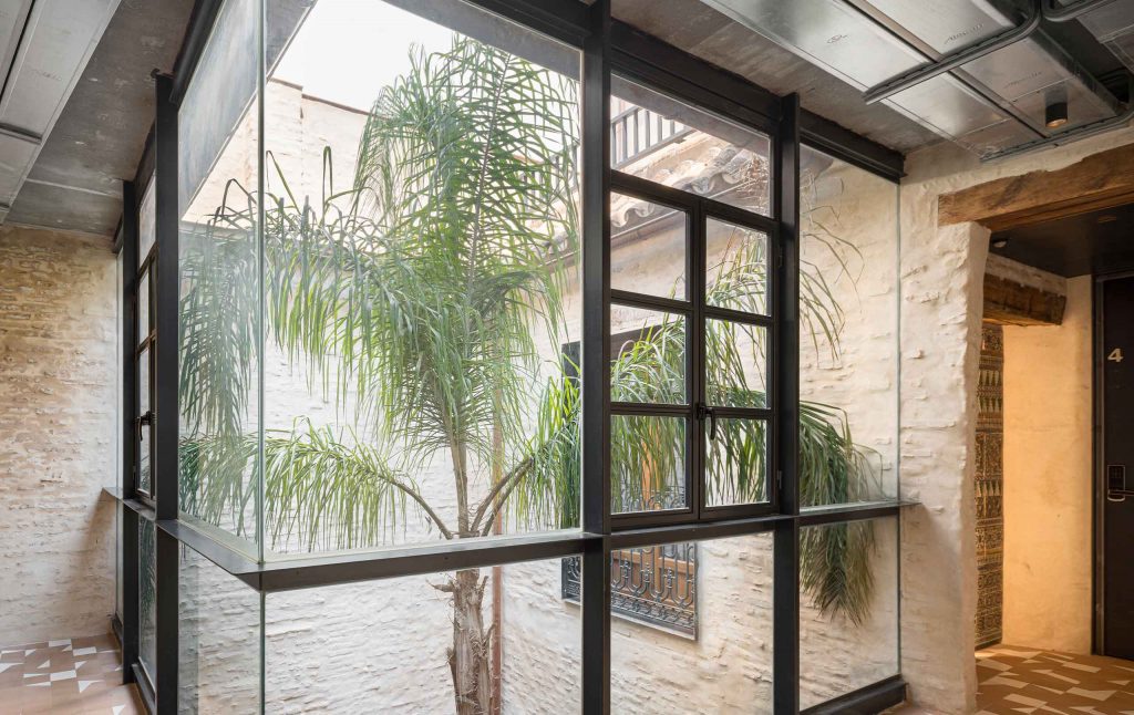 Galería acristalada con carpintería negra sobre el patio con palmera de los apartamentos Santa Clara